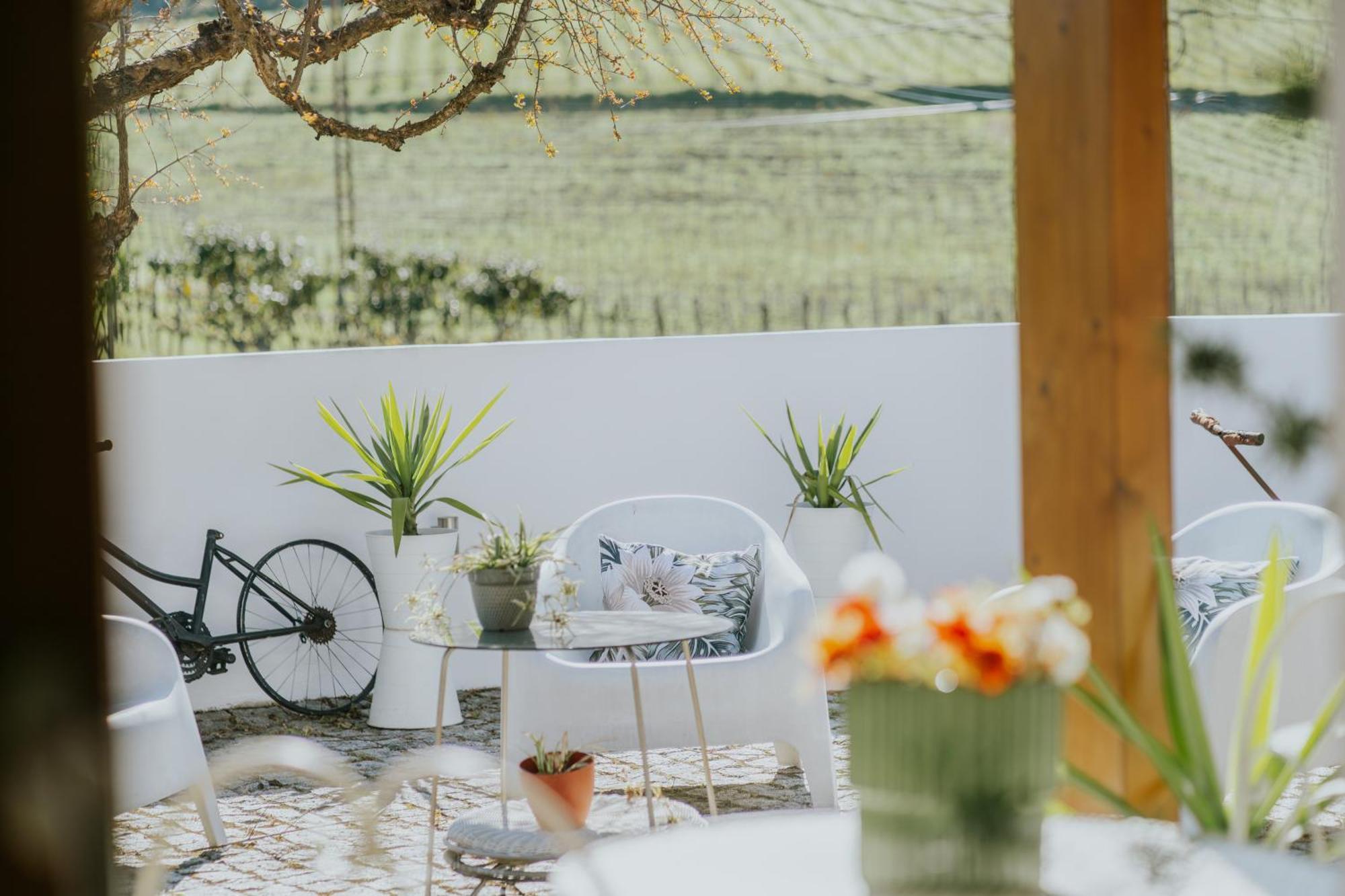 Casa Relogio De Sol Villa Lamego Ngoại thất bức ảnh